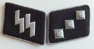 SS UNTERSTURMFUHRER COLLAR TAB SET