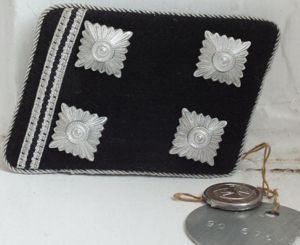 SS-OBERSTURMBANNFUHRER MINT RANK TAB UNIQUE!