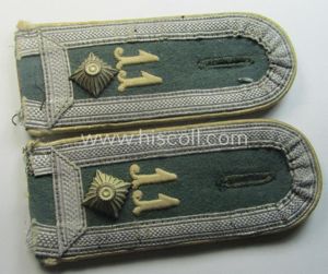 Pair of truly early-period- (ie. I deem 'Reichswehr'-era), WH (Heeres) …