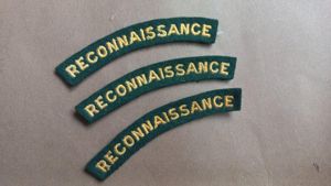 A nice - albeit regrettably single - embroided Reconnaissance shouder …