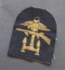 A attractive - albeit regrettably single - British Royal Navy …