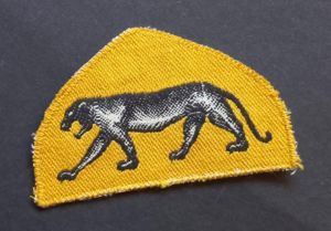 A superb Polish 14th Armoured Brigade, Wielkopolska formation sign