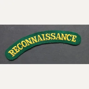 A attractive and nicely embroided Reconnaissaince shoulder title with a …
