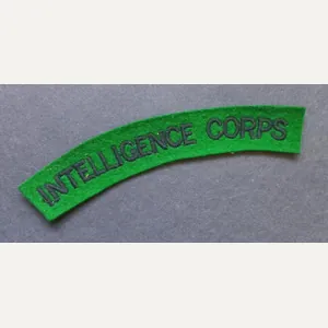 A attractive - albeit regrettably single - embroided Intelligence Corps …