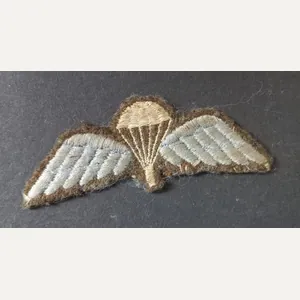 A very attractive - early variation with split feather - …