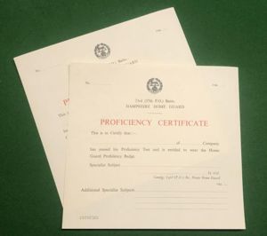 23rd ( 37th Post Office ) Btn Hampshire HG Proficiency …