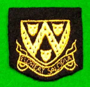 Shropshire Civil Defence Shoulder title.