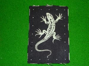 8th Battalion Cornwall Home Guard sleeve badge.