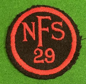 NFS 29 Breast badge.
