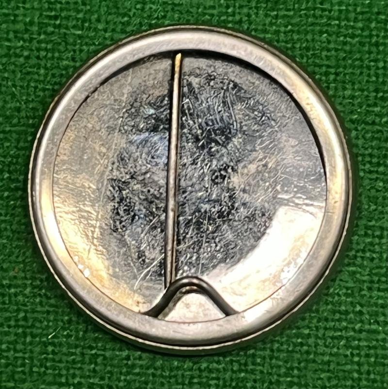 Torquay Wings for Victory pin badge. — image 2