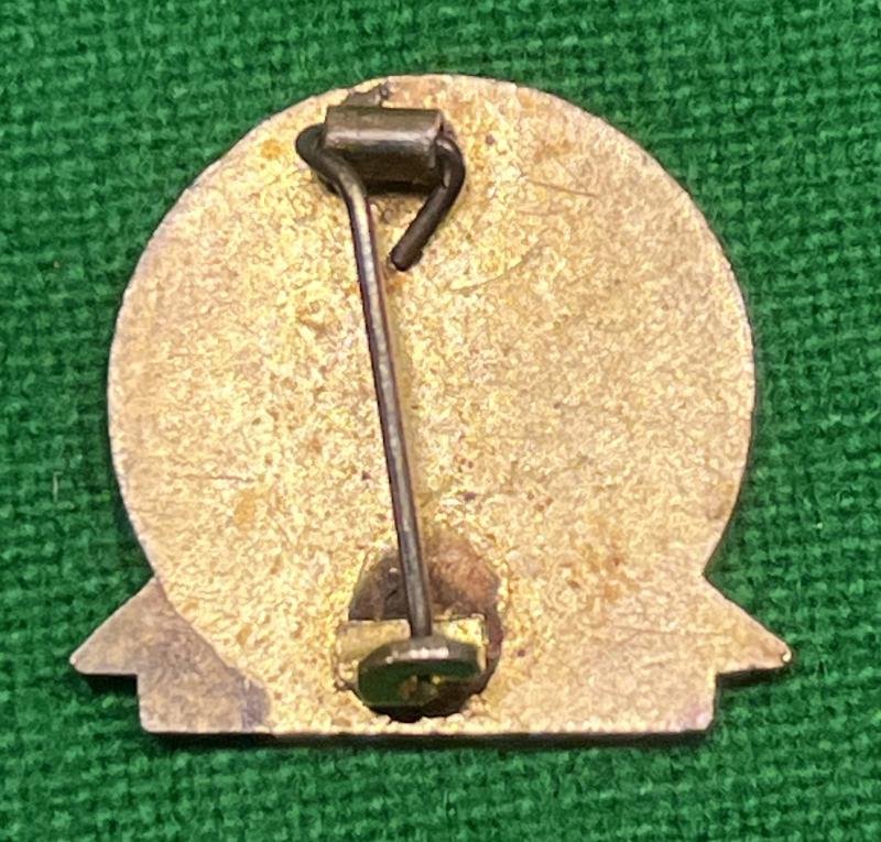 Food Leader lapel badge. — image 2