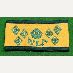 WLA Six Year armband.