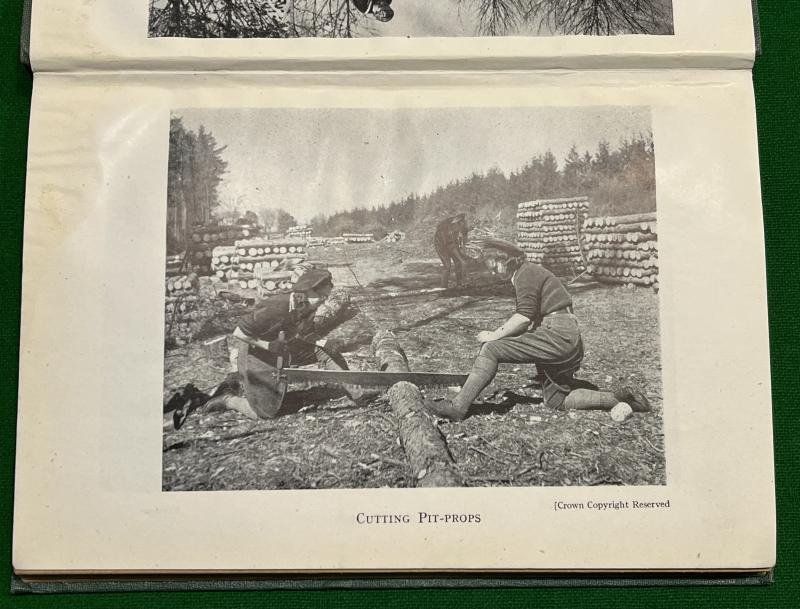 ' Meet the Members ' - Timber Corps history. — image 2