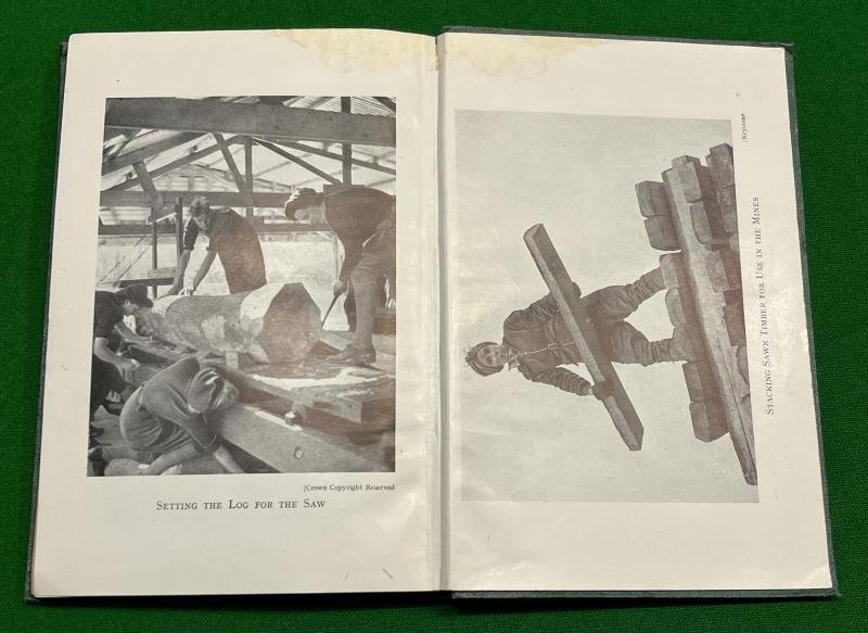 ' Meet the Members ' - Timber Corps history. — image 4