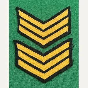 Head Warden / Post Warden (London) Rank Chevrons.