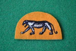 2nd Wielkopolska Armoured Brigade.