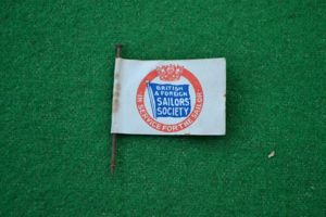 Flag Day Pin.