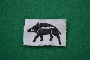 Hants County Division.