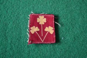 8th Indian Division.