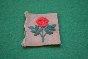 55th Infantry Division.