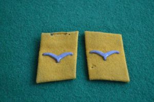 Luftwaffe Collar Patch.