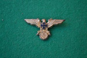 NSKOV Cap Badge.