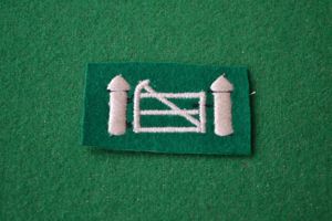 Northern Ireland District.