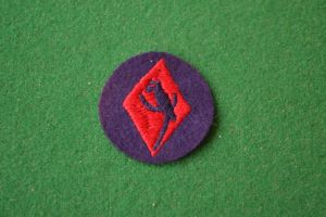48th Infantry Division.