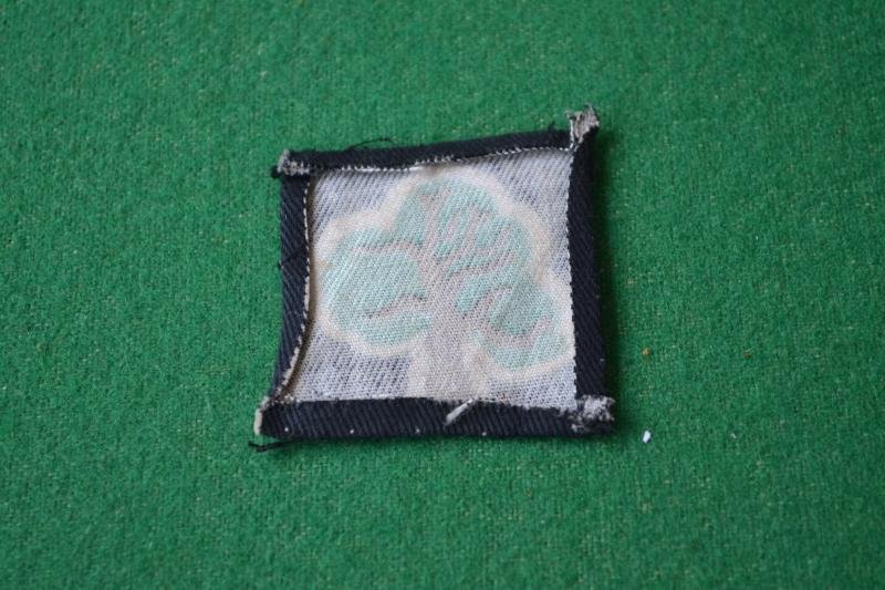 46th Division. — image 2