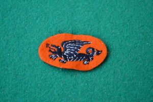 16th Polish Armoured Brigade.