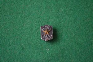 WW2 Japanese Military Reserve Badge.