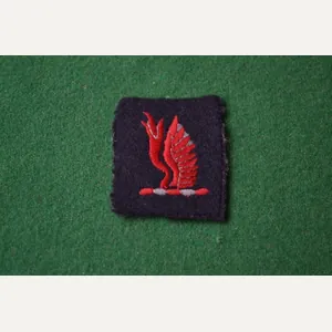 24th Independent Guards Brigade.