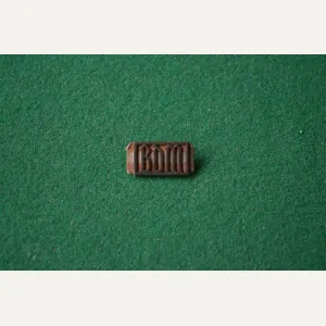 BDM Proficiency Clasp.