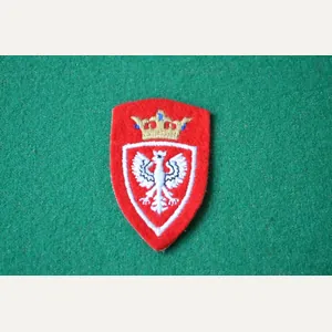 Polish Forces in North Africa.