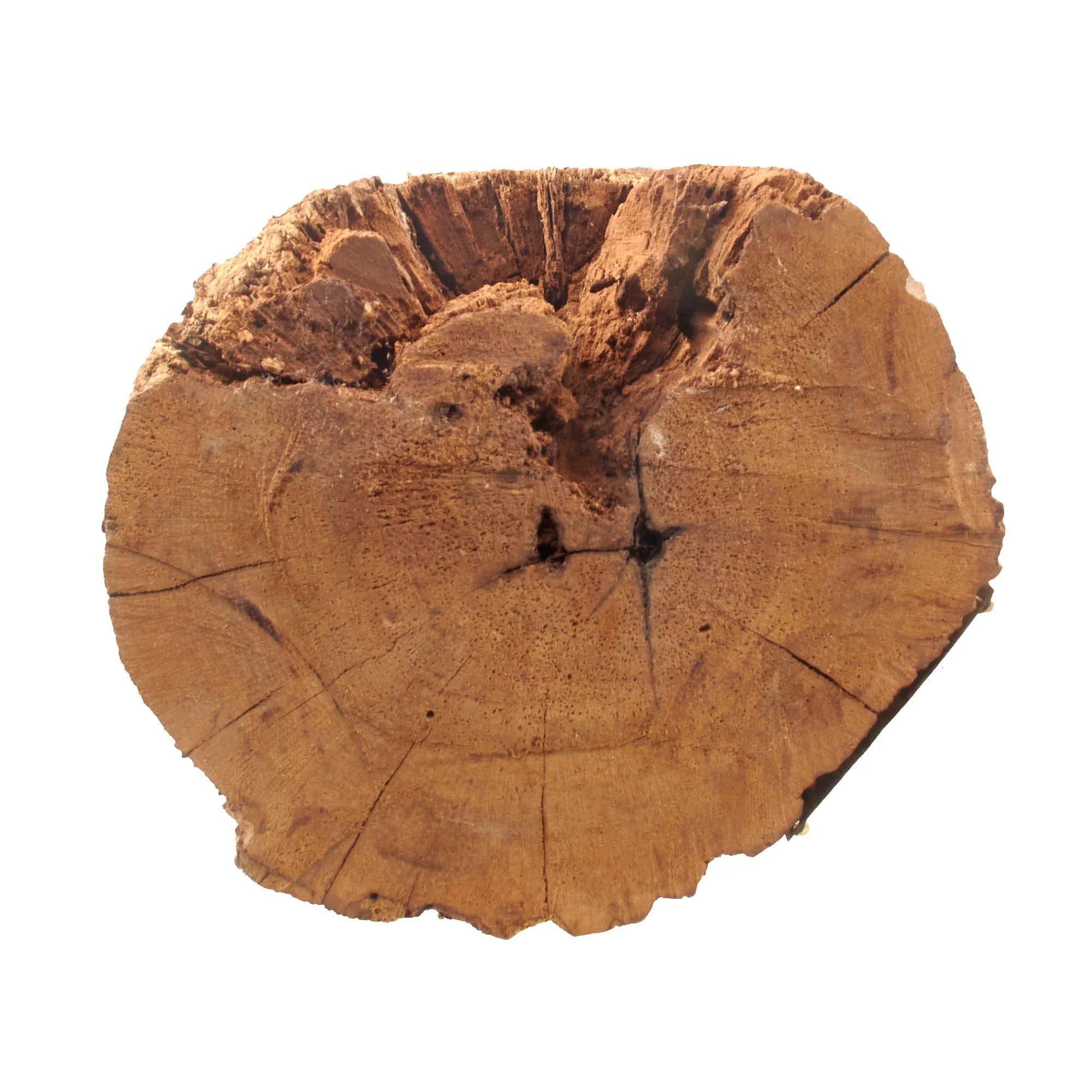 Original U.S. Civil War Battle of Chickamauga 'War Log' with Two Bullets Embedded — image 10