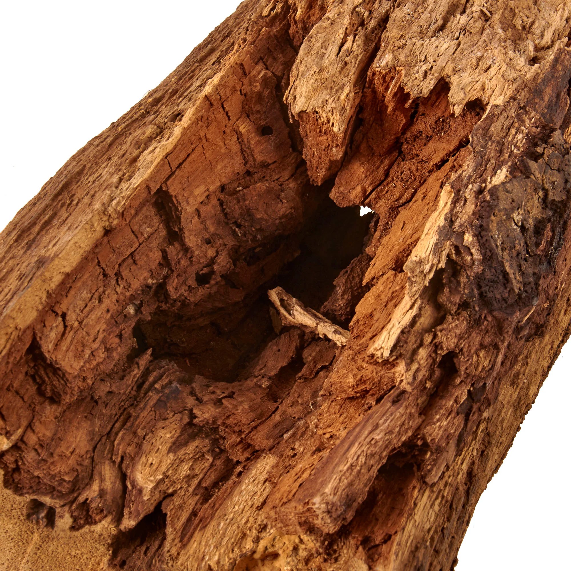 Original U.S. Civil War Battle of Chickamauga 'War Log' with Two Bullets Embedded — image 6