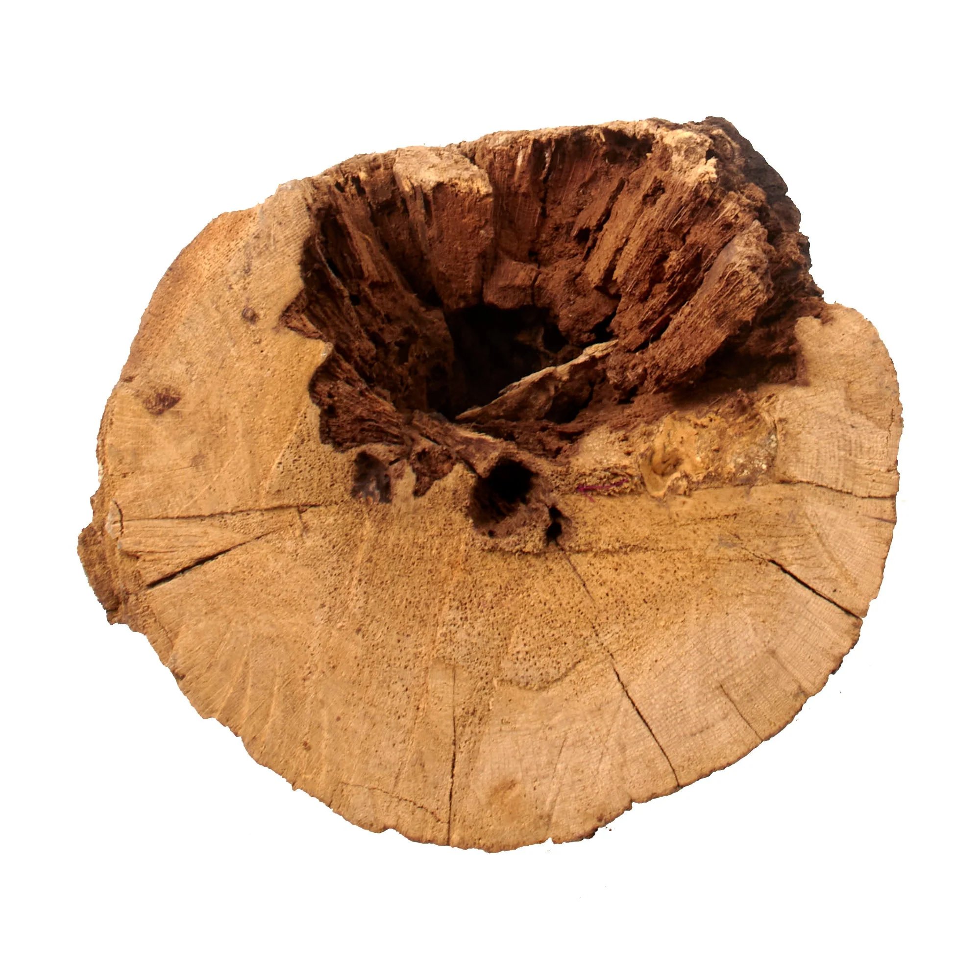 Original U.S. Civil War Battle of Chickamauga 'War Log' with Two Bullets Embedded — image 8