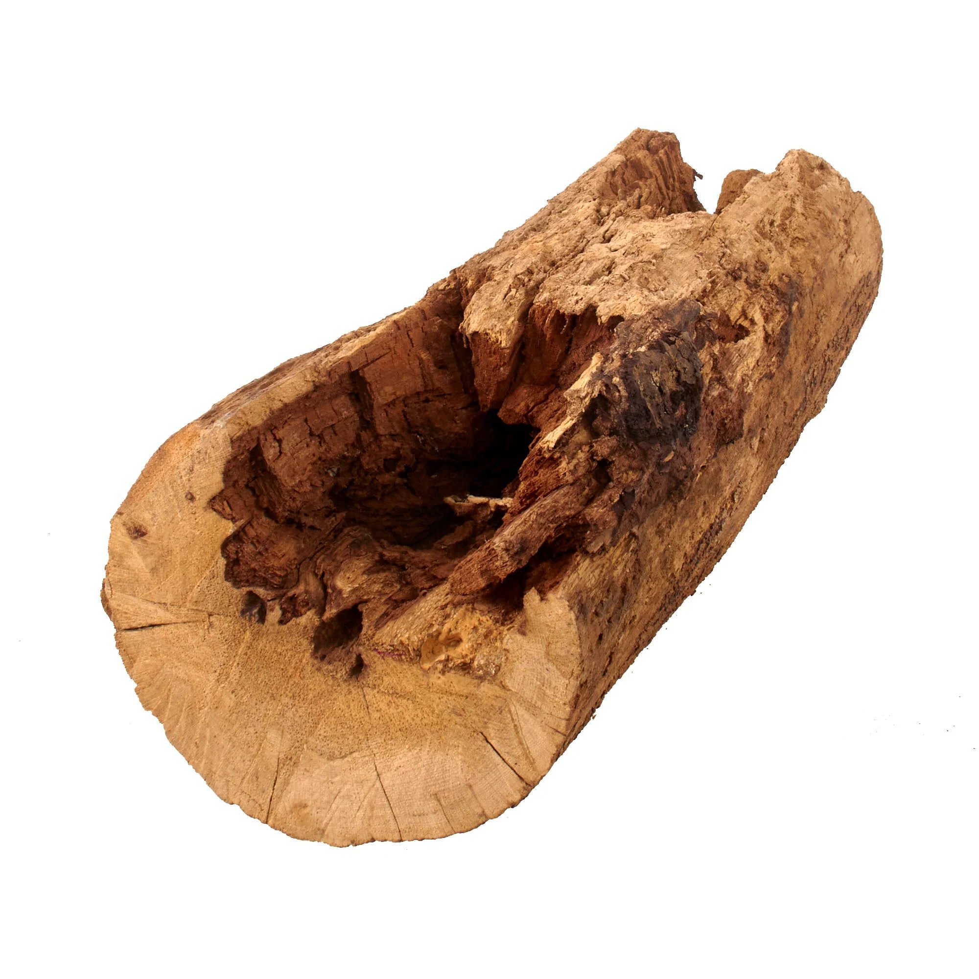 Original U.S. Civil War Battle of Chickamauga 'War Log' with Two Bullets Embedded — image 9