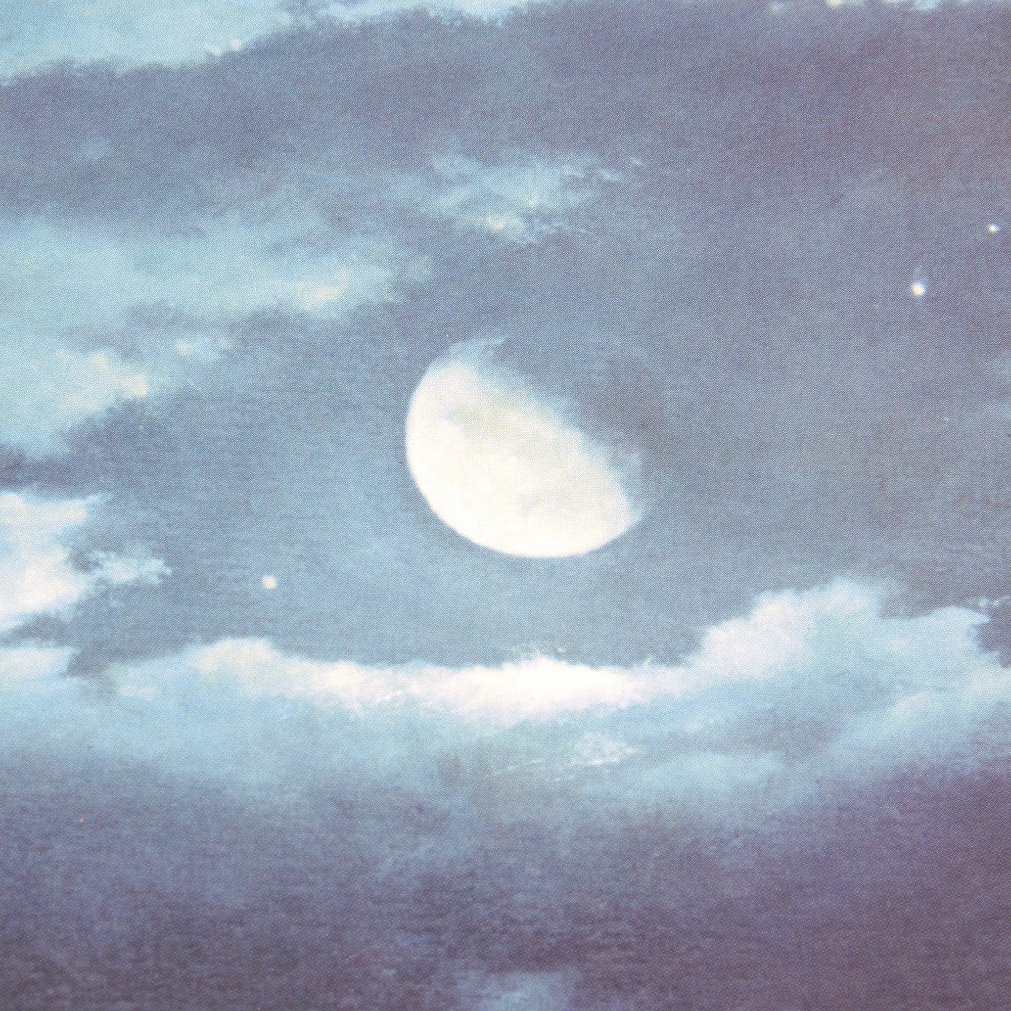 Original Signed Limited Edition Print: 'Fateful Voyage: The U.S.S. Indianapolis, July 30th, 1945' by Marii Chernev Signed by 41 Survivors of the Sinking - 76/500 - 27 x 36' — image 8