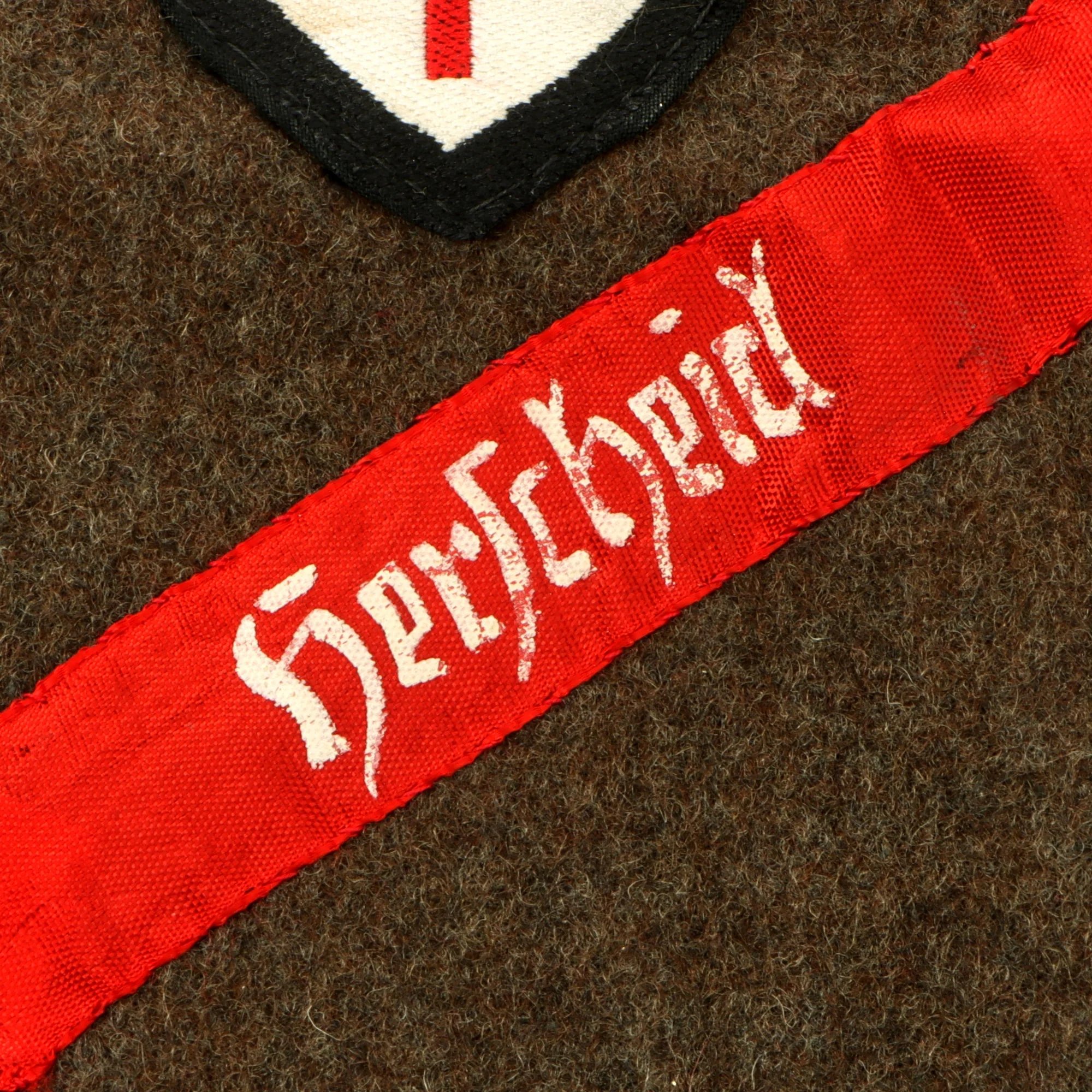 Original German WWII Reichsarbeitsdienst RAD Labor Service Insignia Grouping Attached to Uniform Fabric — image 3