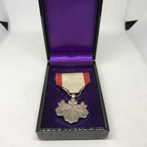 Rising Sun 8th Class