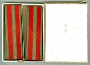 Secound Lieutenants shoulder boards
