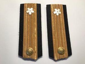 Rear admirals shoulder boards