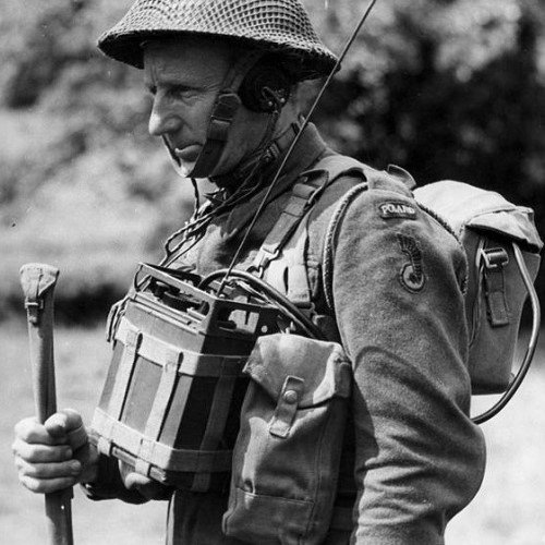 POLAND Woven Pair of Shoulder Titles — image 4