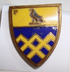 WWII 101st Armored Cavalry Regiment Screwback DI