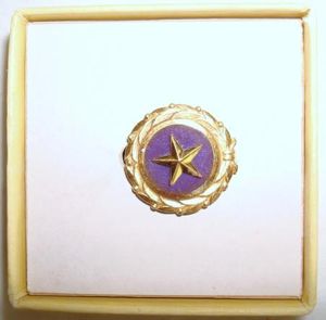 U.S. WWII MOTHER'S GOLD STAR SON KILLED IN ACTION PIN