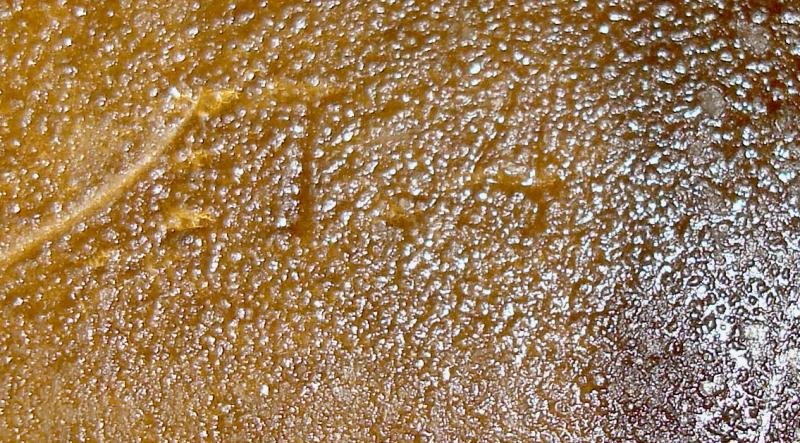 WWII GERMAN M42 SINGLE DECAL VET ART HELMET — image 8