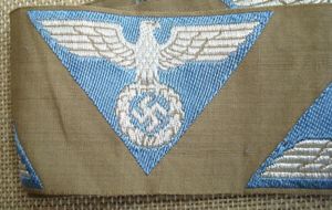 WWII GERMAN SA SIDE CAP EAGLE
