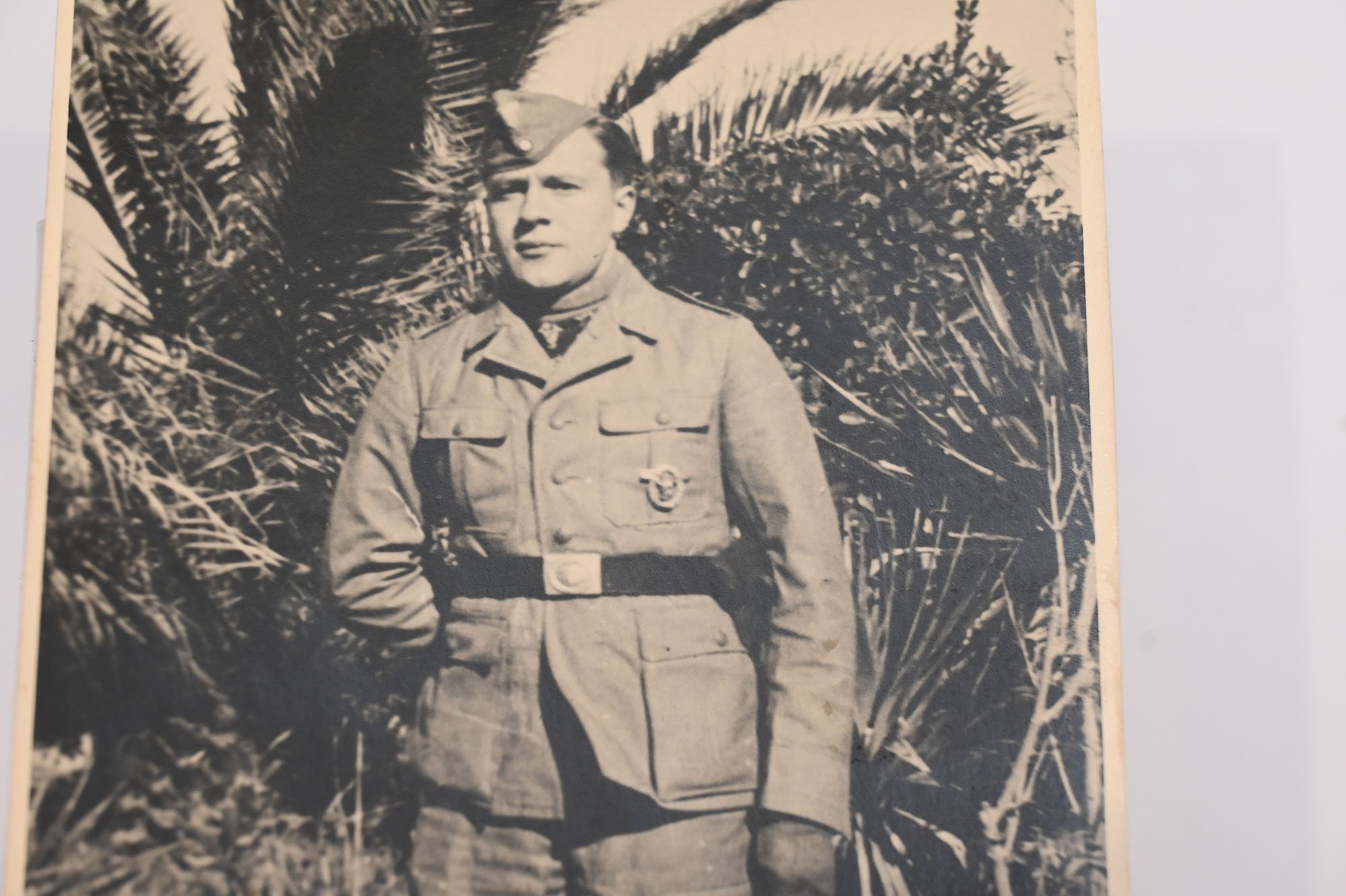 Luftwaffe tropics postcard — image 2