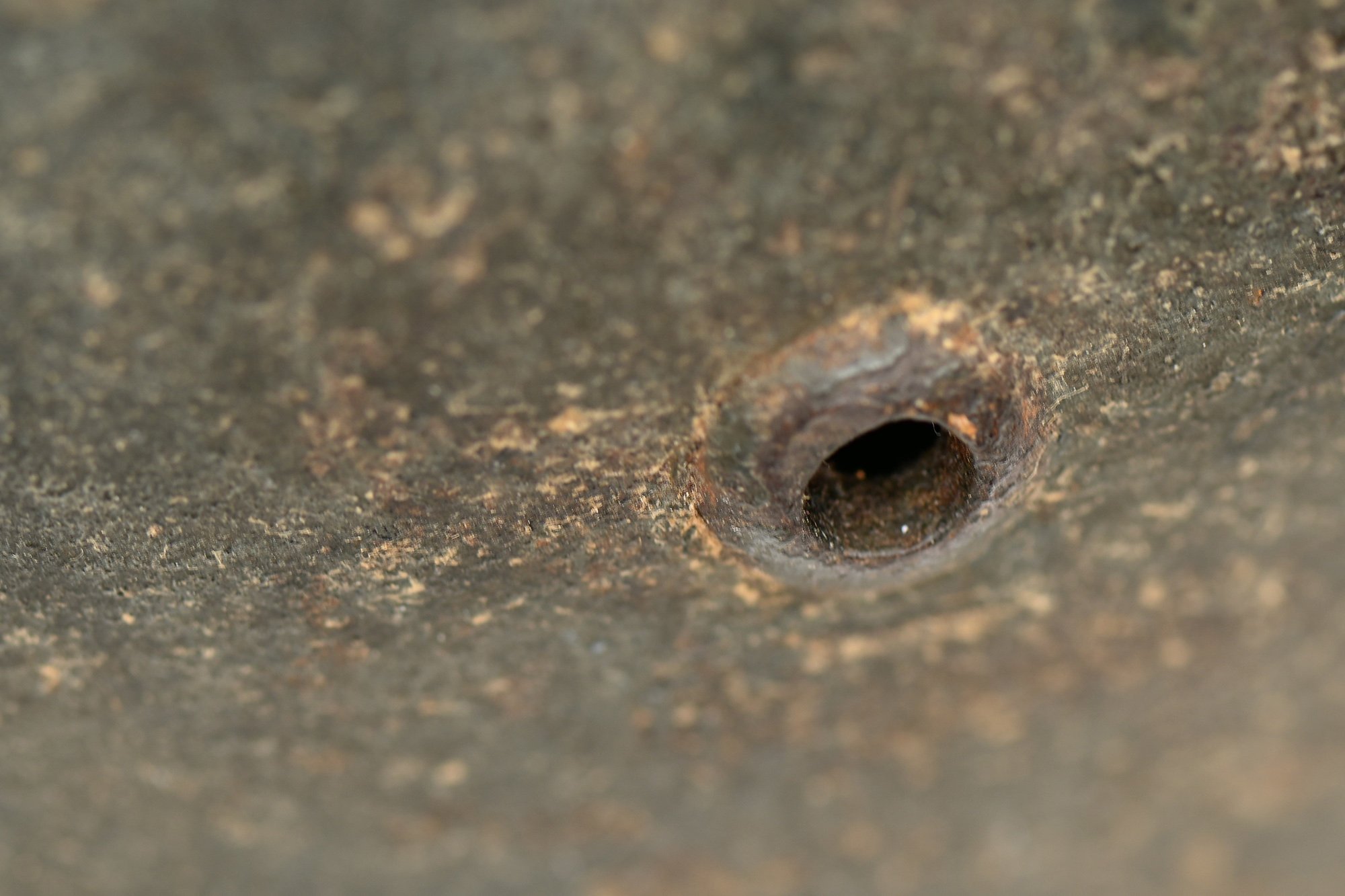 m35 reisseud helmet. camp wine — image 12